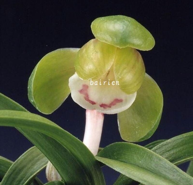 5230